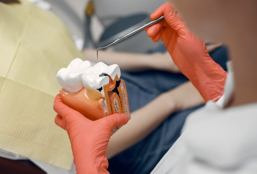 Model of a tooth at the dentist.Doctor shows the patient a tooth.Reception in the dentist's office